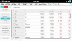 Track sales rep performance against budget