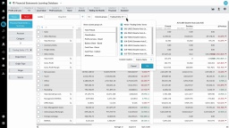 View financial information in a matrix (change column groups)